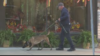 Wheeling Fire Department introduces first ever canine, Indy