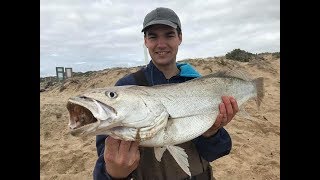 Mulloway Surf Fishing | Salt Creek