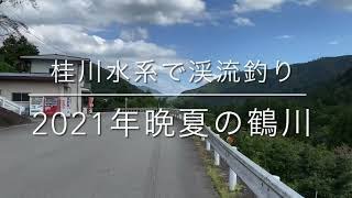 【テンカラ】2021年 晩夏の鶴川 桂川水系で渓流釣り