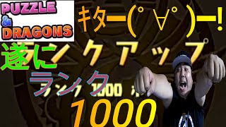 【パズドラ】遂にランク1000到達したぜぇぇぇ！！！【周回編成も紹介！】