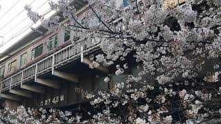 【とうきゅうせん】東急東横線 5050系@中目黒駅