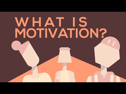 What are the 4 types of extrinsic motivation?
