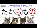 【ひらがな穴埋めクイズ全15問！】猫と一緒に脳トレしましょう！おしゃべりペット