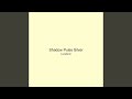 Shadow Pulse Silver