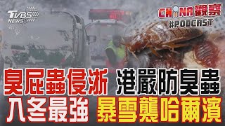 臭屁蟲侵浙江 香港防南韓臭蟲災情 入冬最強寒流 暴雪再襲哈爾濱 降水量破紀錄｜CHINA觀察PODCAST