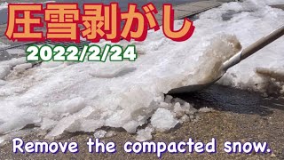 圧雪剥がし【2月24日(木)】