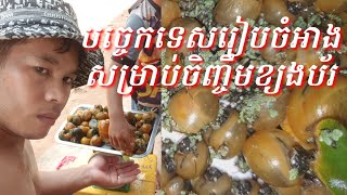 ការរៀបចំអាងនិងបច្ចេកទេសចិញ្ចឹមខ្យងប័រ រឺខ្យងមាសជប៉ុន