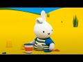 Miffy Builds A Sand Castle | Miffy | 2 hour Compilation