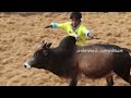 விராலிமலை ஜல்லிக்கட்டு.. viralimalai jallikattu 2024