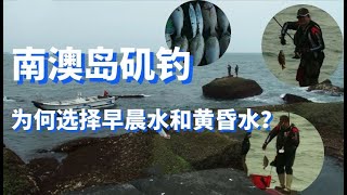 南澳岛矶钓，为何选择早晨水和黄昏水