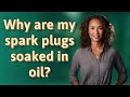 Why are my spark plugs soaked in oil?