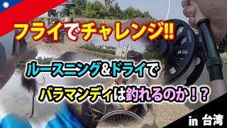 バラマンディはルースニング＆ドライで釣れるのか？林邊大金池（I challenge Barramundi by fly fishing!)