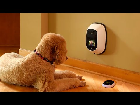 10 innovative devices for pet owners!