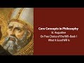 Augustine, On Free Choice of the Will | What A Good Will Is  | Philosophy Core Concepts