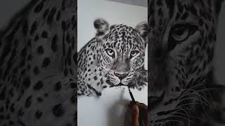 hyperrealistic leopard 🐆 art work by me ❤️ (A3) sheet #wildlife #leopard #realisticdrawing