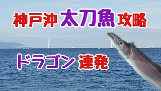 『2021年神戸沖太刀魚を攻略　潮を読んでドラゴン連発！』9月第2週目の神戸沖太刀魚の最新情報をお届けします！今回は潮流情報のデーががそのまま適用出来た釣りとなりました！！