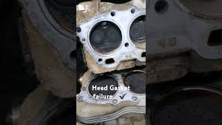 Head gasket failure and more.... EZGO Cart