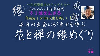 花と禅言葉　人生をを楽しもう！　Enjoy of life！81歳を生きる  在宅療養中のベッドから