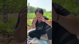 树叶不是一天黄的，人心不是一天凉的，婆婆和小姑子偷吃东西怕儿媳看到，躲到地里去吃，碰到这样的婆婆和小姑子真是太伤儿媳妇的心了！#婆媳 #婆媳矛盾 #农村生活