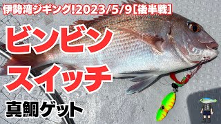 伊勢湾ジギング\u0026タイラバ 2023/5/9 真鯛キター！ビンビンスイッチで久しぶりに真鯛ゲット！真鯛の脳締め、血抜き、鼻から神経締め ＃伊勢湾 ＃タイラバ ＃脳締め #真鯛 #神経締め #血抜き