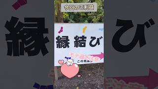 モテ過ぎ注意‼️ご利益は縁結び。三峯神社-縁結びの木 #パワースポット #遠隔参拝