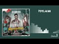 dj gun do sa pepelekani official audio visualizer feat. makhadzi u0026 fortunator