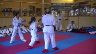 Elite Joshinmon karate work out