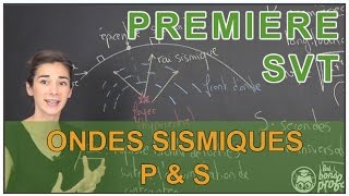 Ondes sismiques P et S - SVT - 1ère - Les Bons Profs