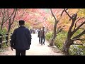 紅葉便り 神戸市立森林植物園 長谷池 2020 11 08