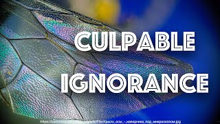 Culpable Ignorance \u0026 Criminal Negligence (Timestamps)