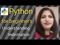 One Wrong Space and Boom! Python Indentation Explained