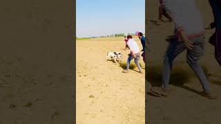 Full vlog my channel -fire greyhound01 #greyhound #fire