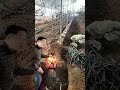 the process of cultivating saplings in a greenhouse