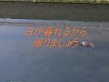 カモの水遊び3 0001