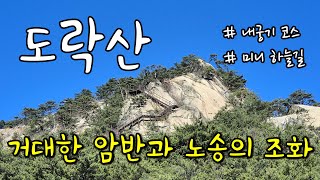 거대한 암반과 노송이 조화로운 충북 단양의 도락산 ㅣ 1일 2산 중 두 번째 산