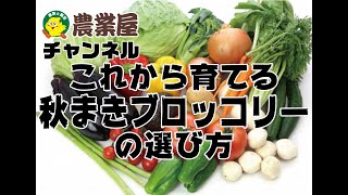 おすすめ！この秋植えたいブロッコリーの品種の選び方！　農業屋