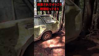 山中で突如現れた廃車#shorts#廃車#放置車両