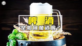 啤酒是如何酿造的？2分钟带你了解，啤酒酿造全过程