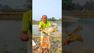 শীতের দিনে বিলের মাছ #মাছ #fish #shortsfeed #shorts