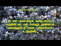 psalms 30 ஆண்டவரே நீர் என்னைப் பாதாளத்திலிருந்து ஏறிவரச் செய்தீர்.