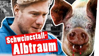 Bestrafung: Marc kriegt Panik im Schweinestall || Das schaffst du nie!