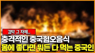 충격적인 중국혐오음식, 몸에 좋다면 뭐든 다 먹는 중국인