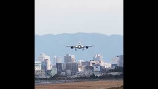 飛行機 着陸　向かい風で超ゆっくり着陸する　エアバスA350 JA14XJ　#Shorts