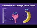 penis size and health क्या पेनिस का साइज बढ़ाने का कोई तरीका होता है drkumareducationclinic