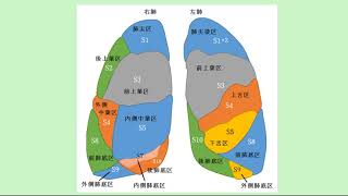 夜の国試（14）　第54回OT国家試験　午前21～30問までの解説（読上げ音声なし版）