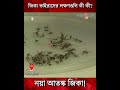 zika virus আতঙ্ক বাড়াচ্ছে জিকা ভাইরাস জনস্বার্থে জারি সতর্কতা লক্ষণগুলি কী কী দেখুন