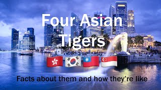 The Four Asian Tigers (Hong Kong, South Korea, Taiwan and Singapore).