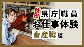 相場詩織の秋田県職員お仕事体験！〈畜産職編〉