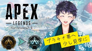 【#APEX】初見さん大歓迎！少しプラチナランク見学したいなってランク配信【霧嶌けい/きりしまけい #vtuber 】