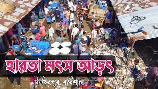 হারতা মৎস আড়ৎ । Harta fish market (Full HD+).